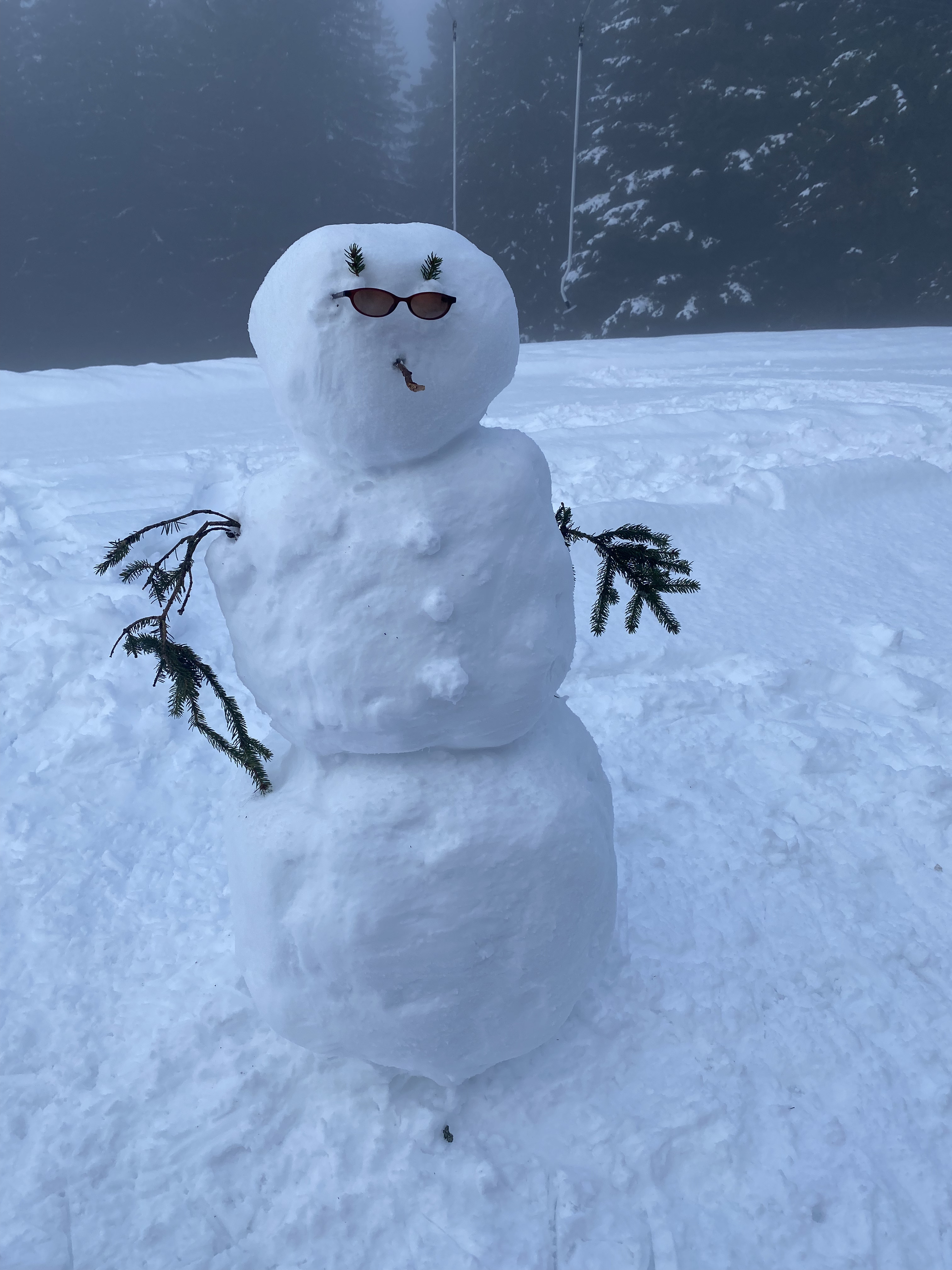 Siba Smarak Panigrahi